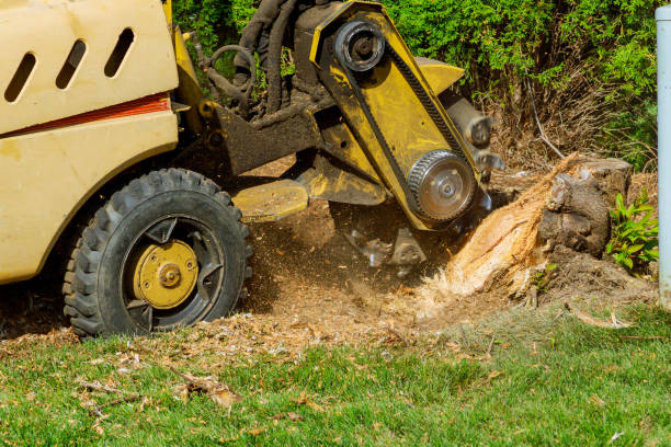 Leaf Removal in Grandview Heights, OH